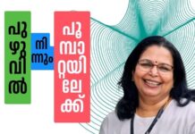 പുഴുവിൽ നിന്നും പൂമ്പാറ്റയിലേക്ക്- 23