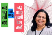 പുഴുവിൽ നിന്നും പൂമ്പാറ്റയിലേക്ക്- 27