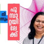 പുഴുവിൽ നിന്നും പൂമ്പാറ്റയിലേക്ക്- 29