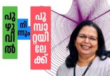 പുഴുവിൽ നിന്നും പൂമ്പാറ്റയിലേക്ക്- 30