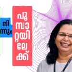 പുഴുവിൽ നിന്നും പൂമ്പാറ്റയിലേക്ക്- 33