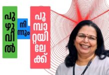 പുഴുവിൽ നിന്നും പൂമ്പാറ്റയിലേക്ക്- 37