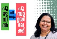 പുഴുവിൽ നിന്നും പൂമ്പാറ്റയിലേക്ക്- 47